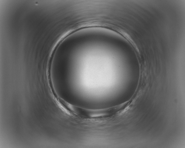 X0000062651197200512281639