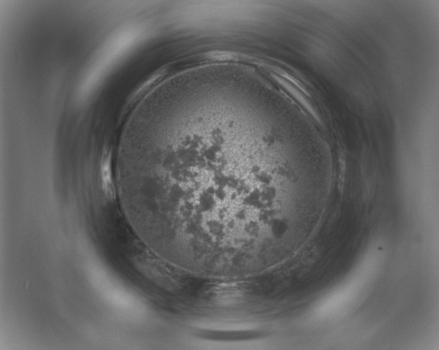 X0000062651198200512281639