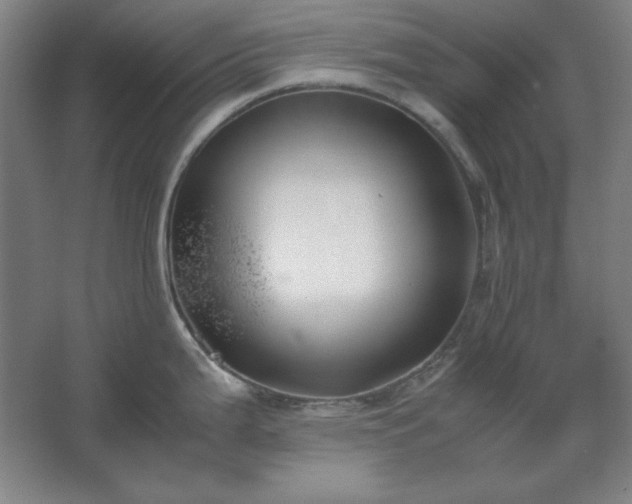 X0000062651199200512281639