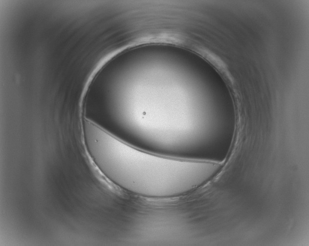 X0000062651200200512281639