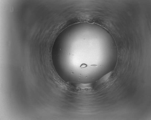 X0000062651201200512281638