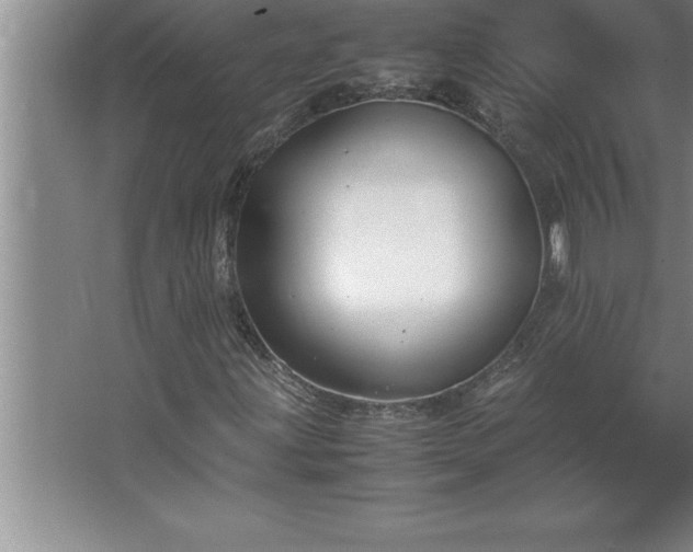 X0000062651203200512281638