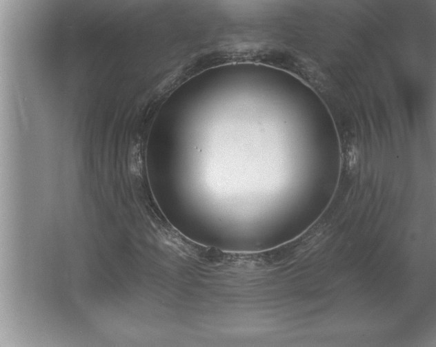 X0000062651204200512281638