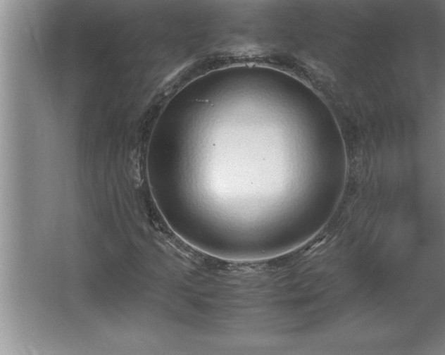 X0000062651205200512281638