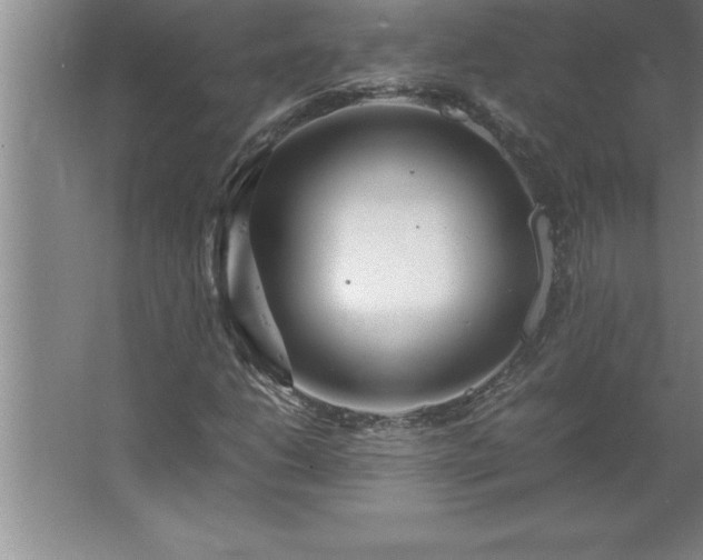 X0000062651206200512281638