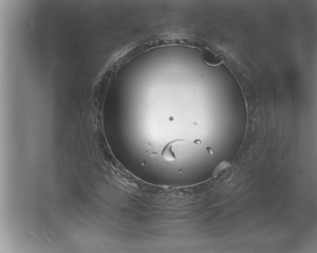 X0000062651207200512281638