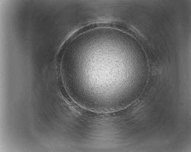 X0000062651208200512281638