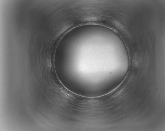 X0000062651209200512281638