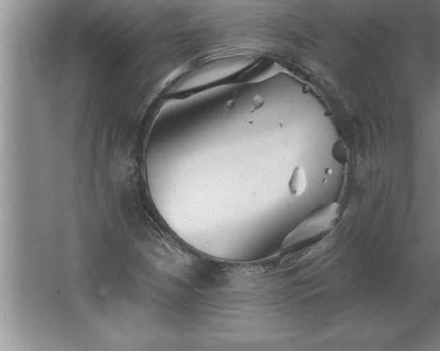 X0000062651210200512281638