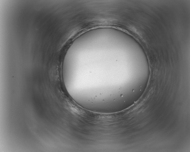 X0000062651211200512281638