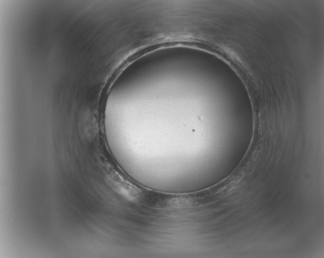 X0000062651212200512281638