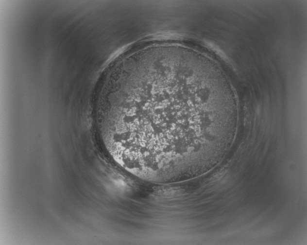 X0000062651213200512281638