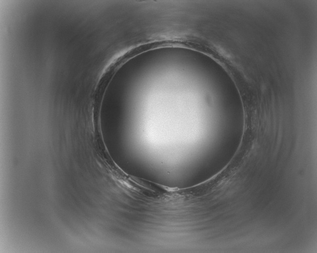 X0000062651214200512281638