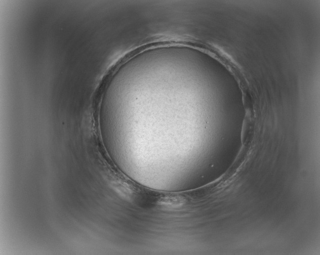 X0000062651215200512281638