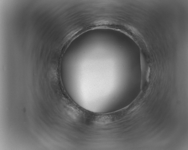 X0000062651217200512281638