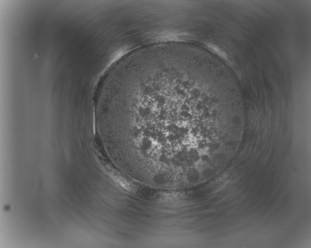 X0000062651219200512281638