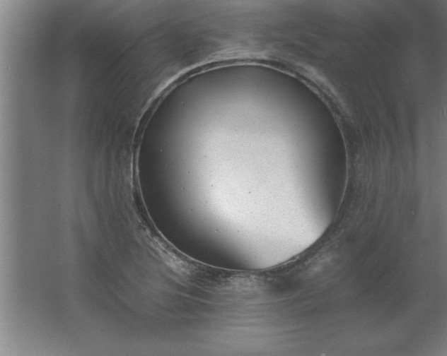 X0000062651220200512281638