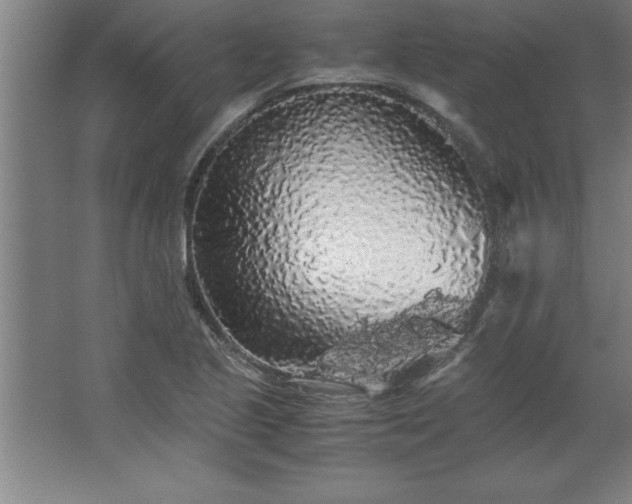 X0000062651221200512281638