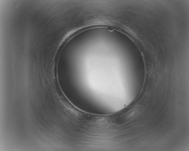 X0000062651222200512281638