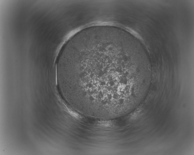 X0000062651223200512281638