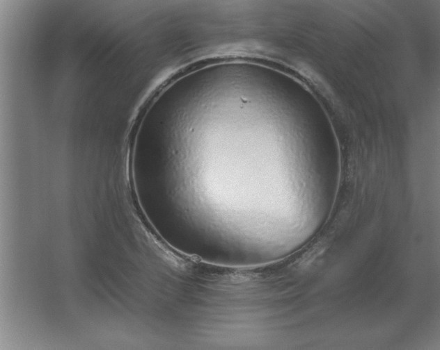 X0000062651224200512281638