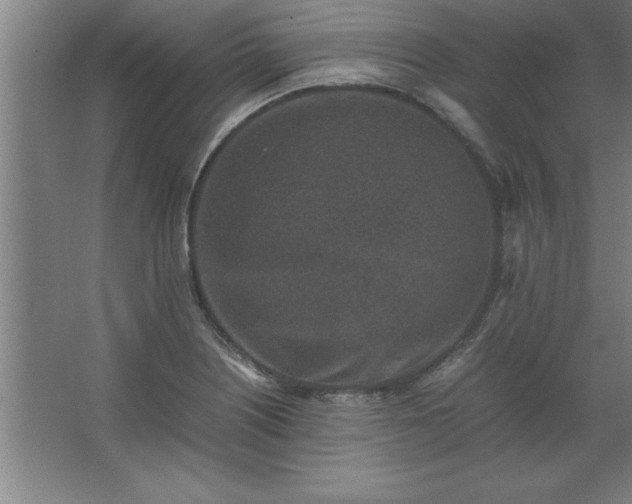 X0000062651226200512281638