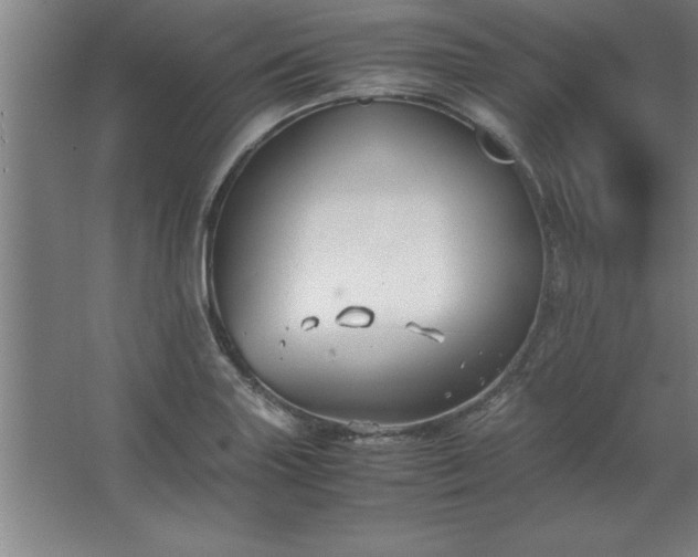 X0000062651227200512281638