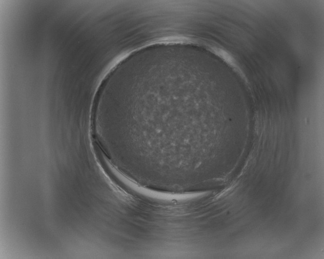 X0000062651229200512281639