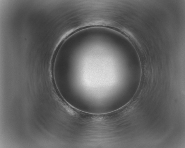 X0000062651230200512281639