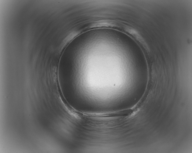 X0000062651233200512281639