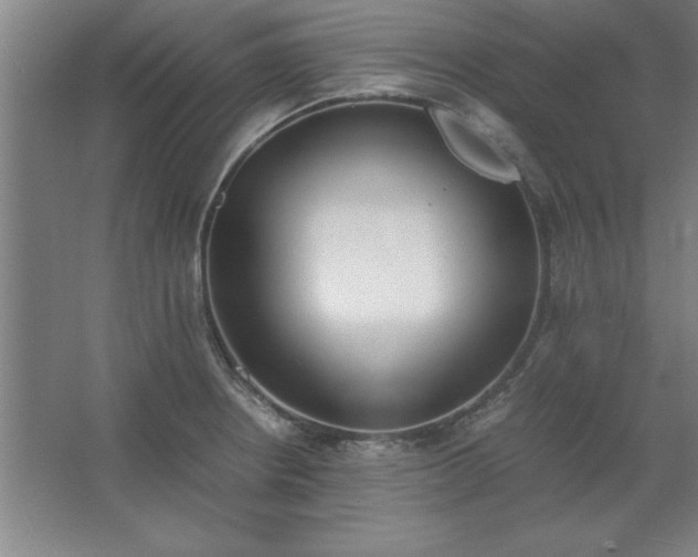 X0000062651234200512281639