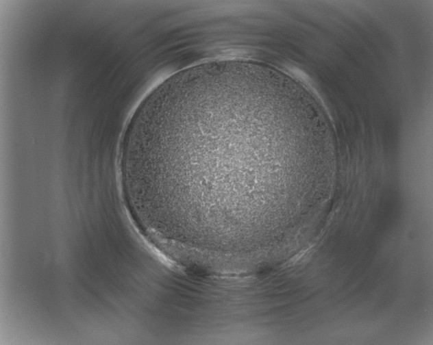 X0000062651235200512281639