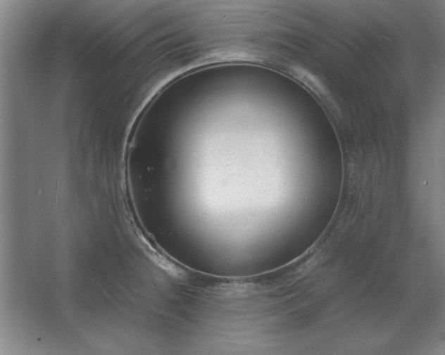 X0000062651236200512281639