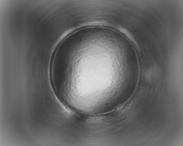 X0000062651237200512281639