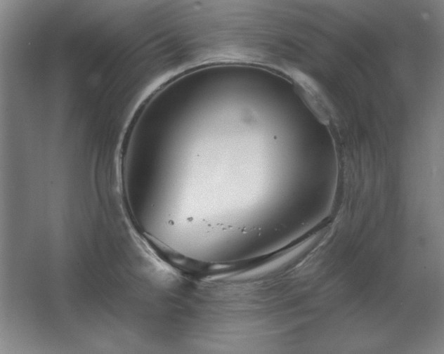 X0000062651238200512281639