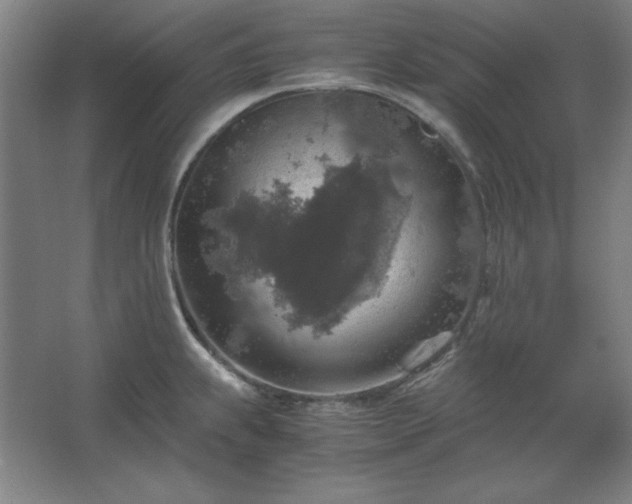 X0000062651239200512281639