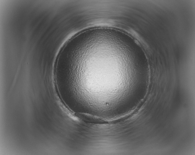 X0000062651240200512281639