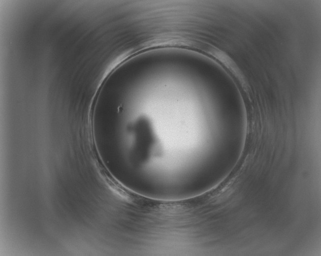 X0000062651242200512281639