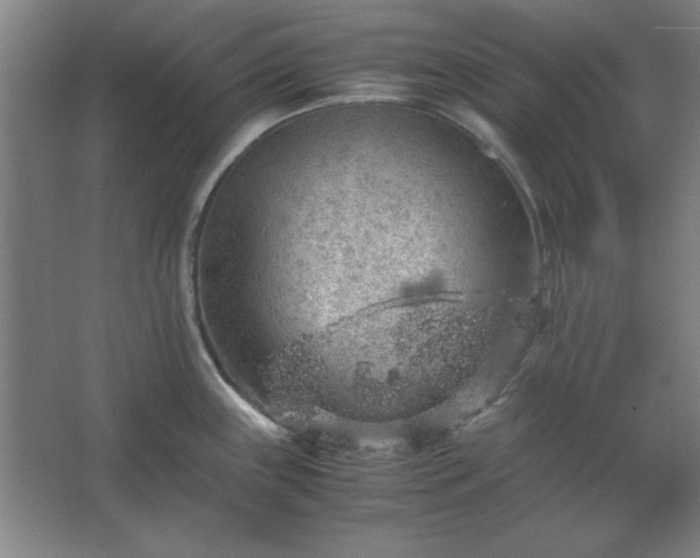 X0000062651243200512281639