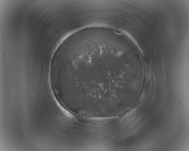 X0000062651245200512281639