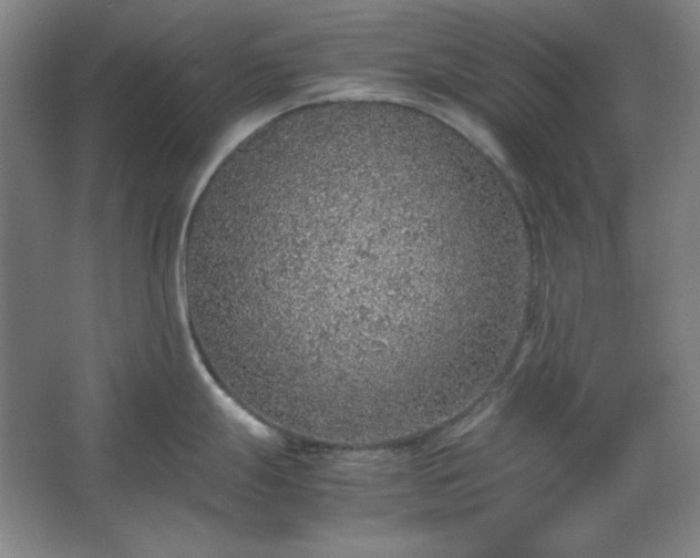 X0000062651247200512281639