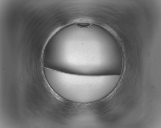 X0000062651248200512281639