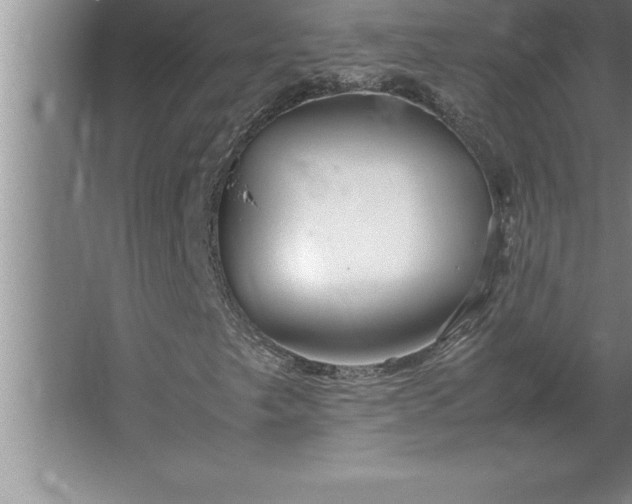 X0000062651249200512281638