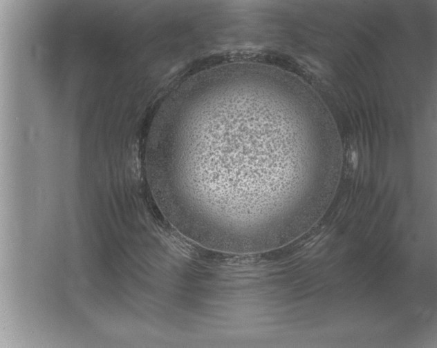 X0000062651252200512281638