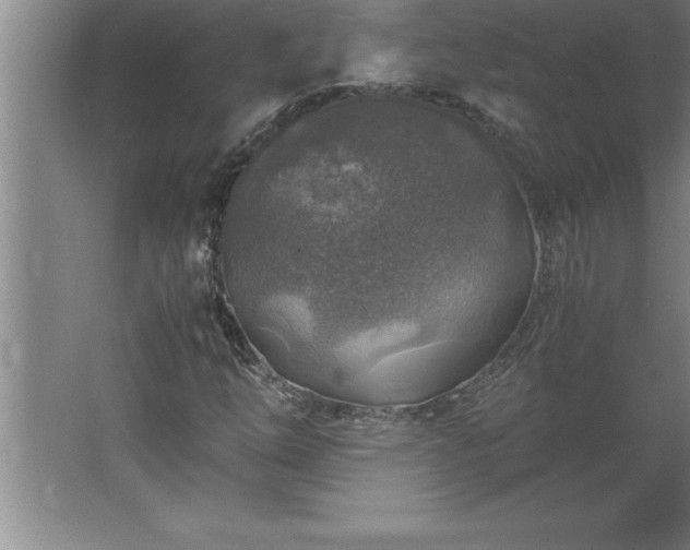 X0000062651254200512281638