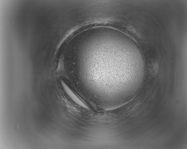 X0000062651256200512281638