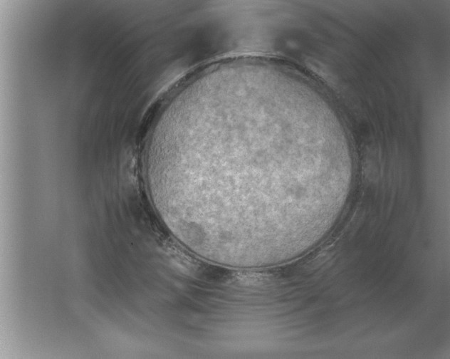 X0000062651258200512281638