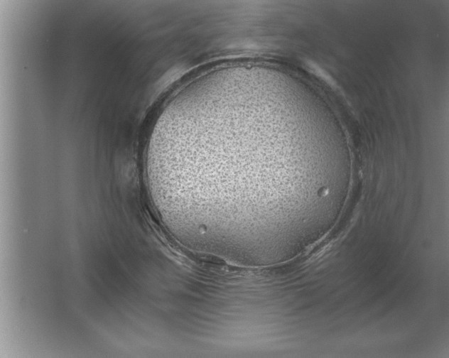 X0000062651259200512281638