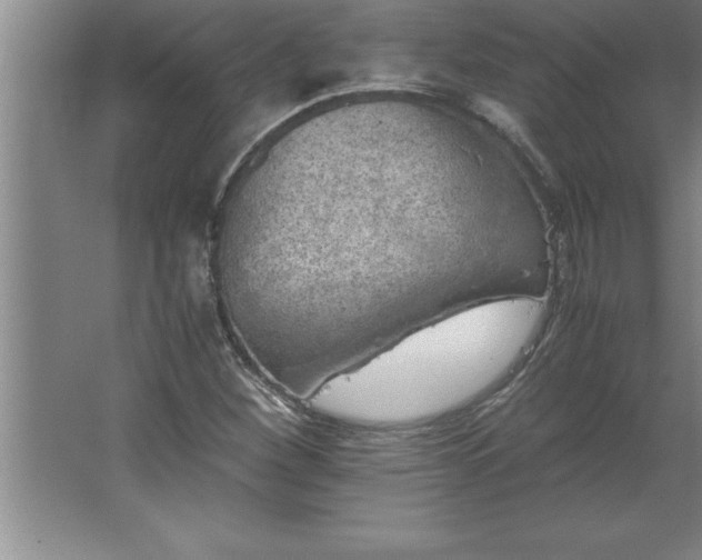 X0000062651260200512281638