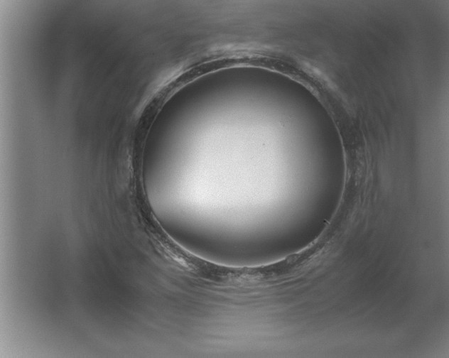 X0000062651261200512281638